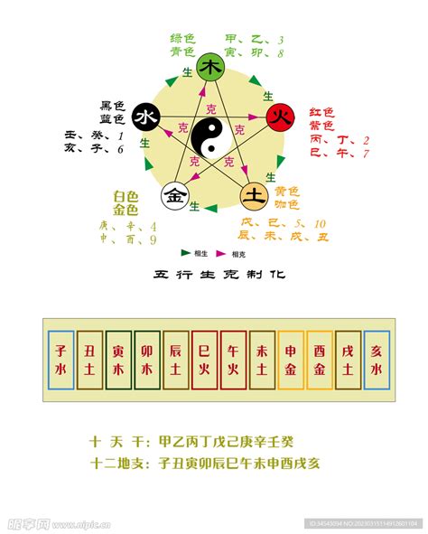 壬 卯五行|天干地支五行对照表图 阴阳五行